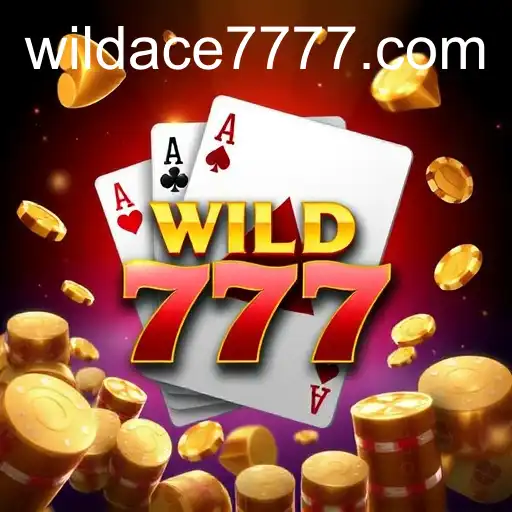 Unveiling the Intricacies of Slot Games: WILD ACE 777